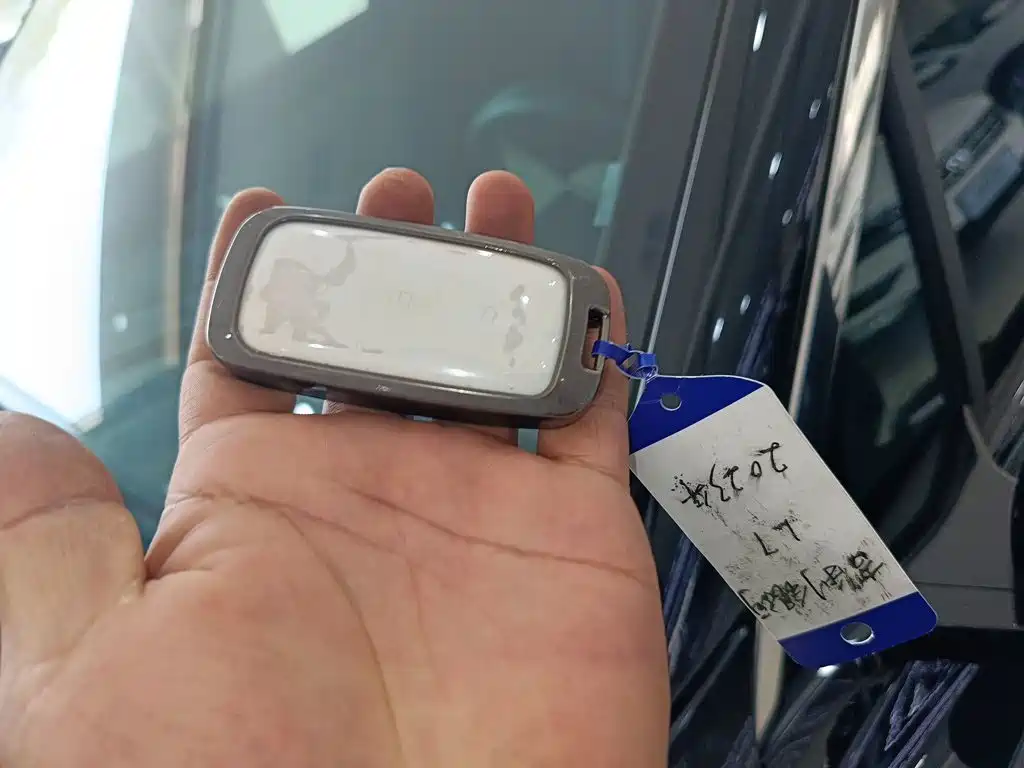 Galaxy L7 2023 1.5T 115km PLUS купить на сайте DeffCars