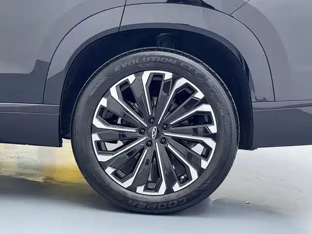 Tiggo 9 2023 2.0T automatic two-wheel drive luxury version 5 seats купить на сайте DeffCars