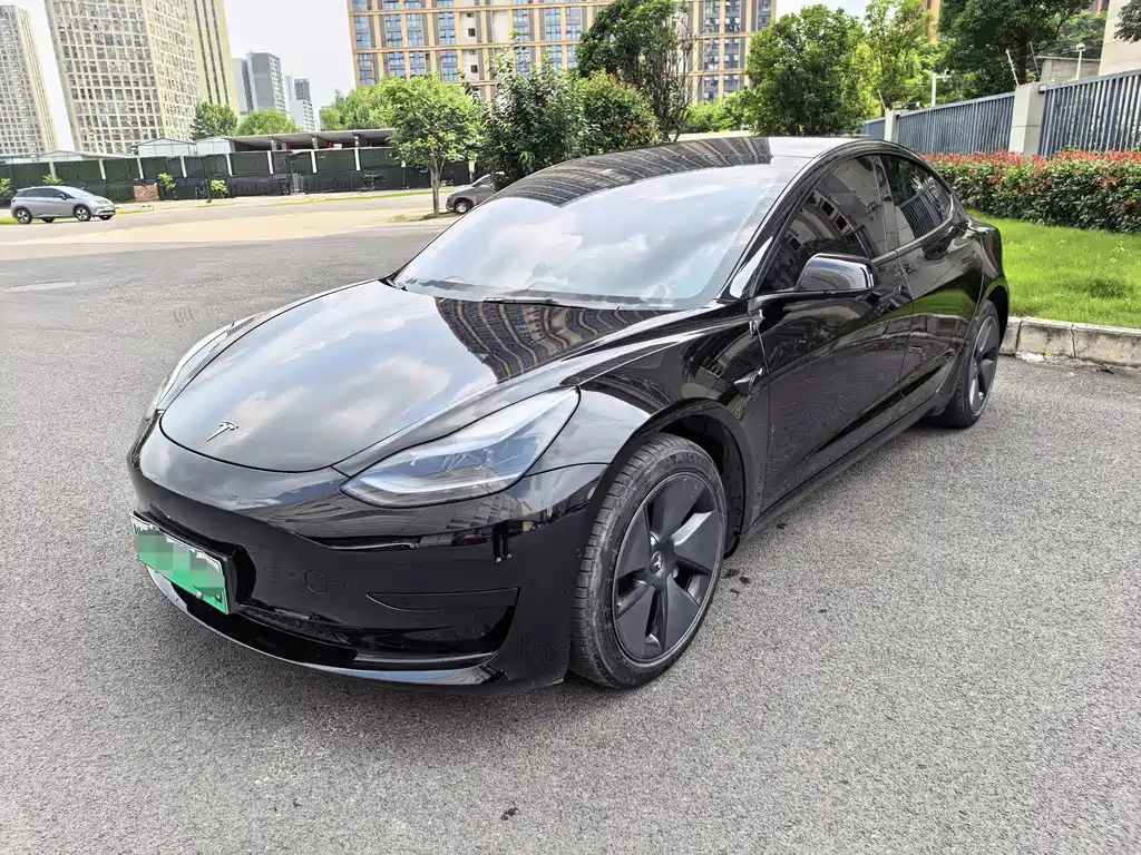 Model 3 2022 rear-wheel drive version купить на сайте DeffCars