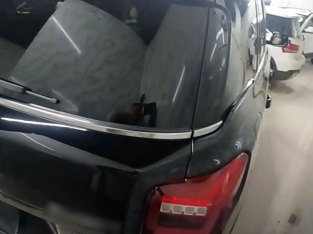 Trumpchi GS8 2017 320T 2WD Luxury Connected Edition (seven seats) купить на сайте DeffCars