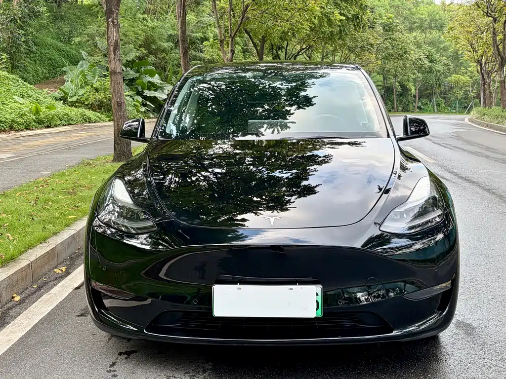 Model Y 2021 long-range all-wheel drive version купить на сайте DeffCars