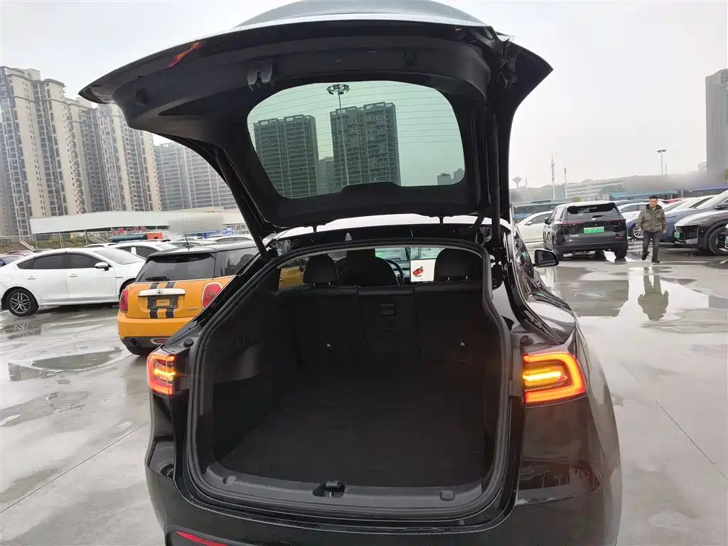 Model Y 2023 rear-wheel drive version купить на сайте DeffCars