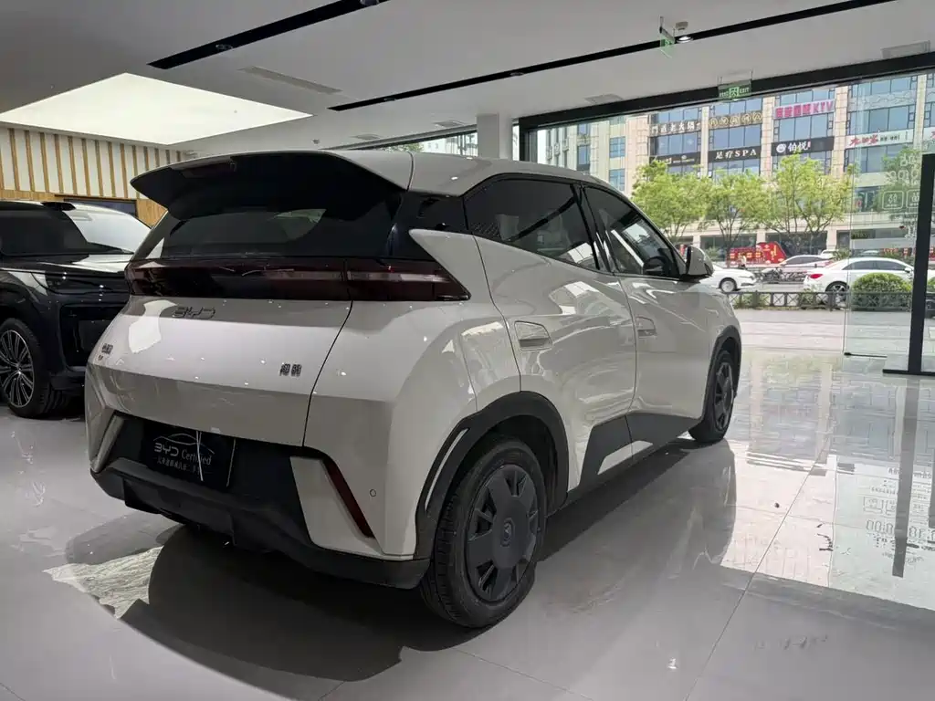 Seagull 2025 305km active version купить на сайте DeffCars