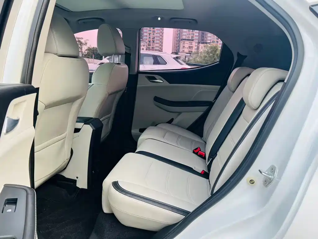 Yuan Pro 2021 Love Lifetime Edition купить на сайте DeffCars