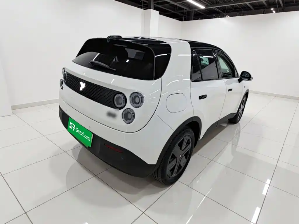 firefly firefly 2025 luminous version купить на сайте DeffCars