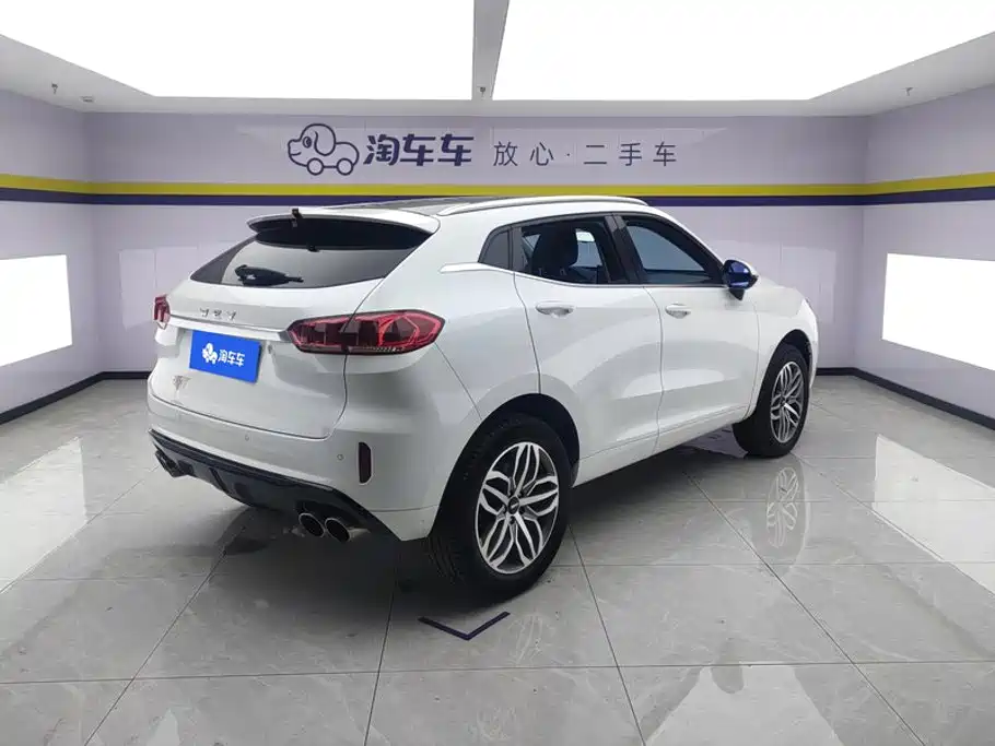 Wei brand VV5 2019 upgraded model 2.0T two-wheel drive super luxury model National V купить на сайте DeffCars