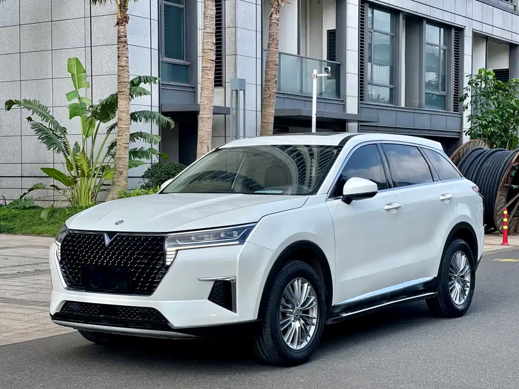 Venucia 2021 260T Automatic Xingshang Edition купить на сайте DeffCars