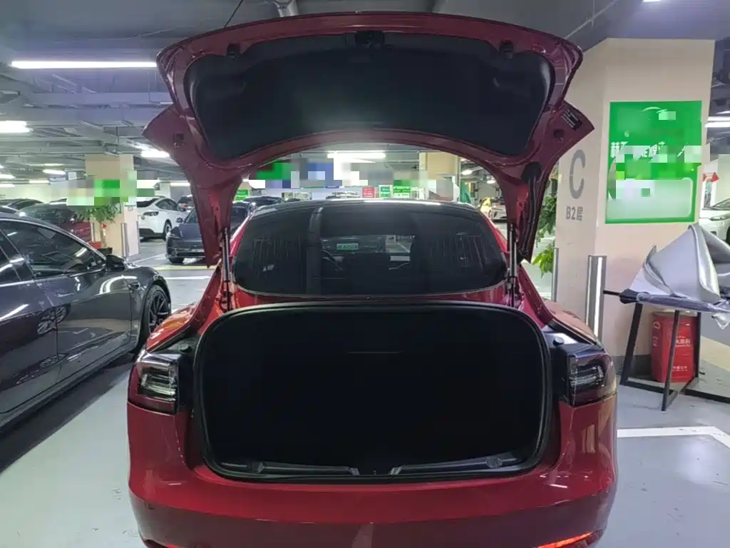 Model 3 2019 standard range rear drive upgraded version купить на сайте DeffCars
