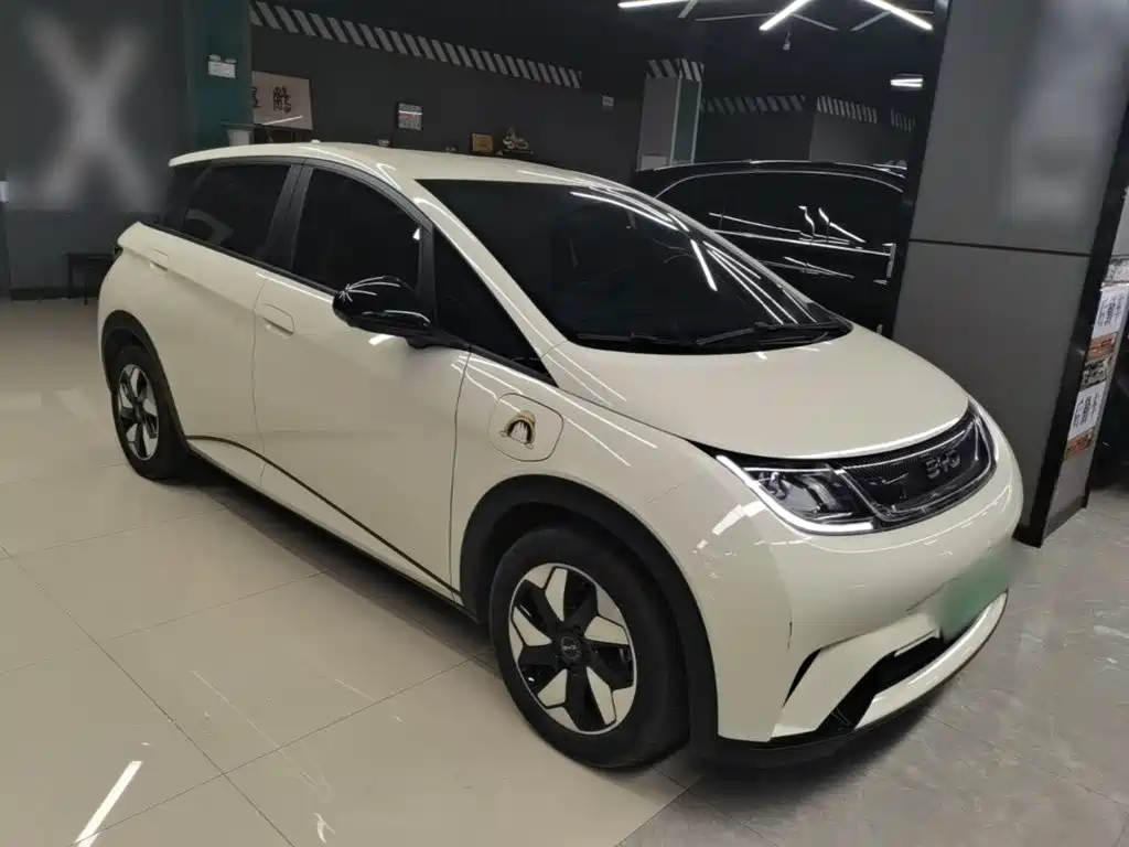 Dolphin 2025 420km Free Edition купить на сайте DeffCars