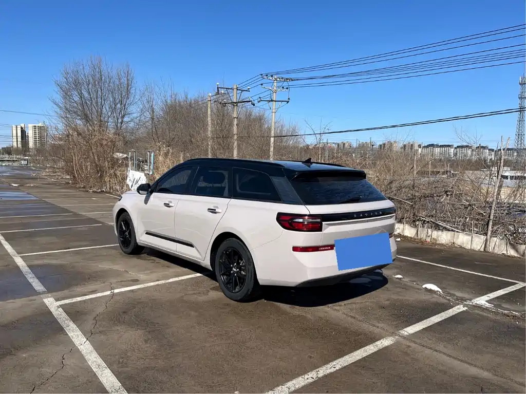 Baojun Valli 2021 1.5T Yili Ranch CVT luxury model купить на сайте DeffCars