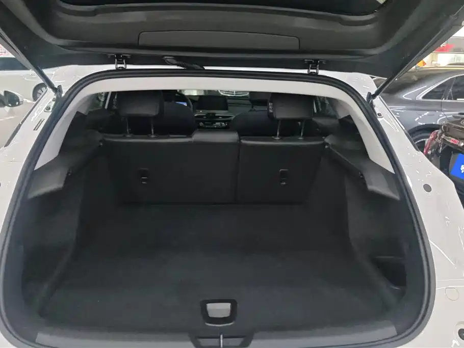 Weilan 6 2024 model 450km Yuexiang Plus version купить на сайте DeffCars