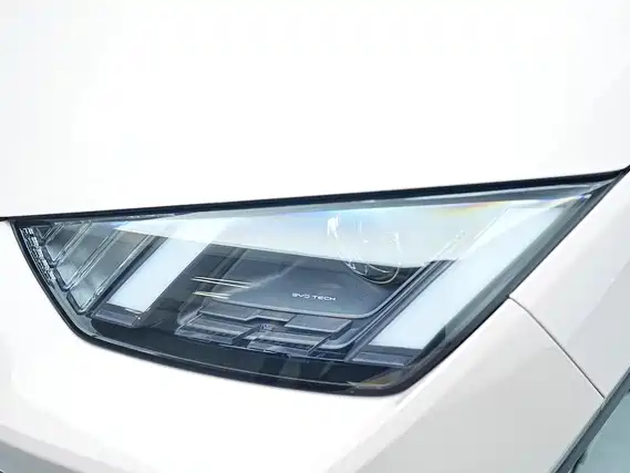 Seagull 2025 305km active version купить на сайте DeffCars