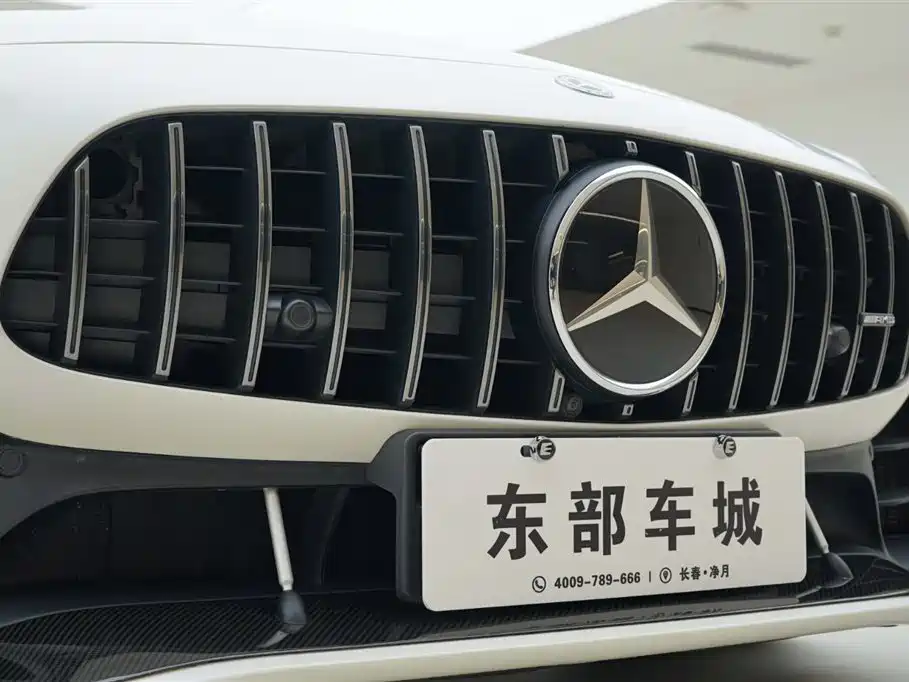 AMG GT 2019 AMG GT R PRO купить на сайте DeffCars