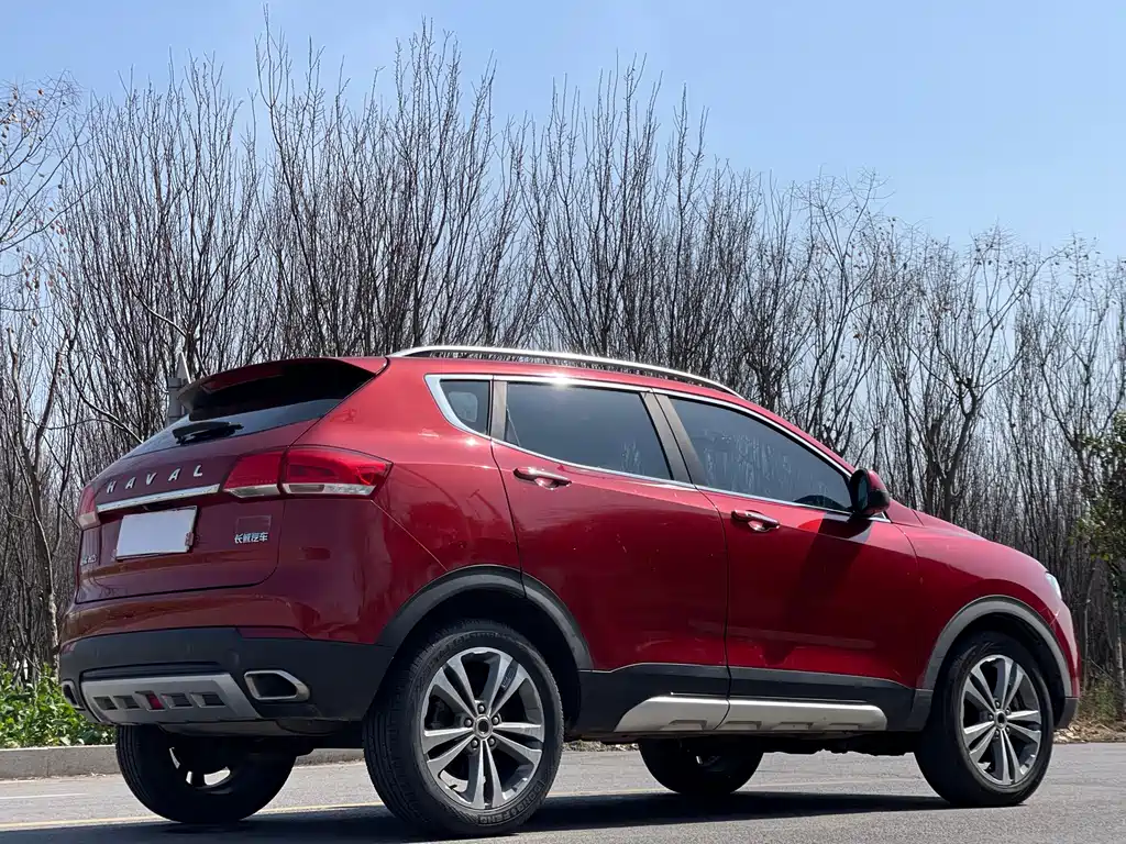 Haval H2s 2017 Blue Label 1.5T dual-clutch luxury model купить на сайте DeffCars