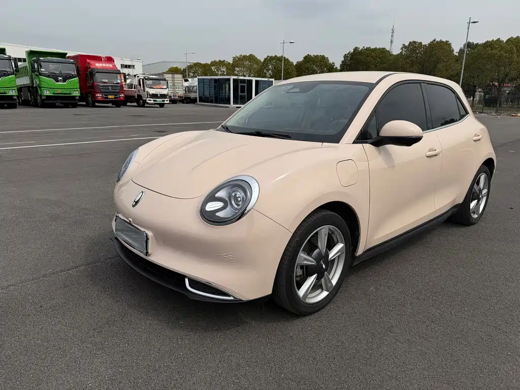 Euler Good Cat 2024 401km Comfort Model купить на сайте DeffCars
