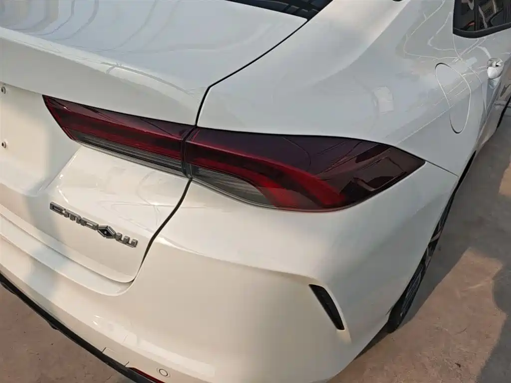 Shadow Leopard 2021 270T DCT J16 version купить на сайте DeffCars