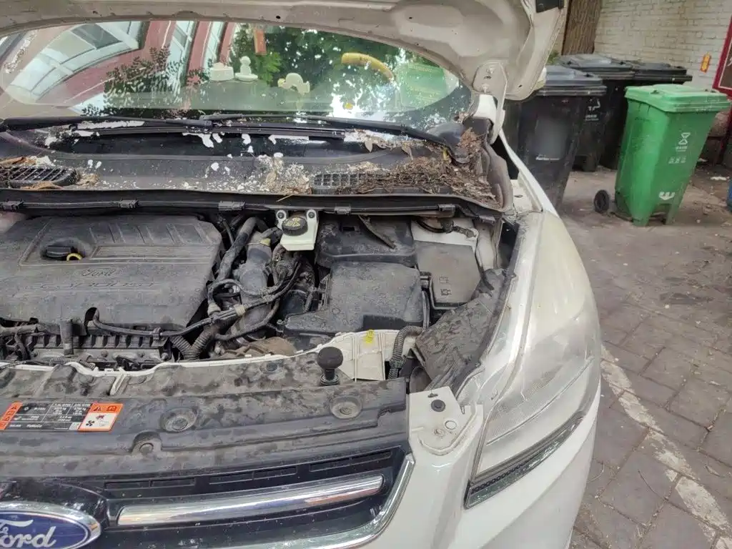 Escape 2015 1.5L GTDi two-wheel drive stylish model купить на сайте DeffCars