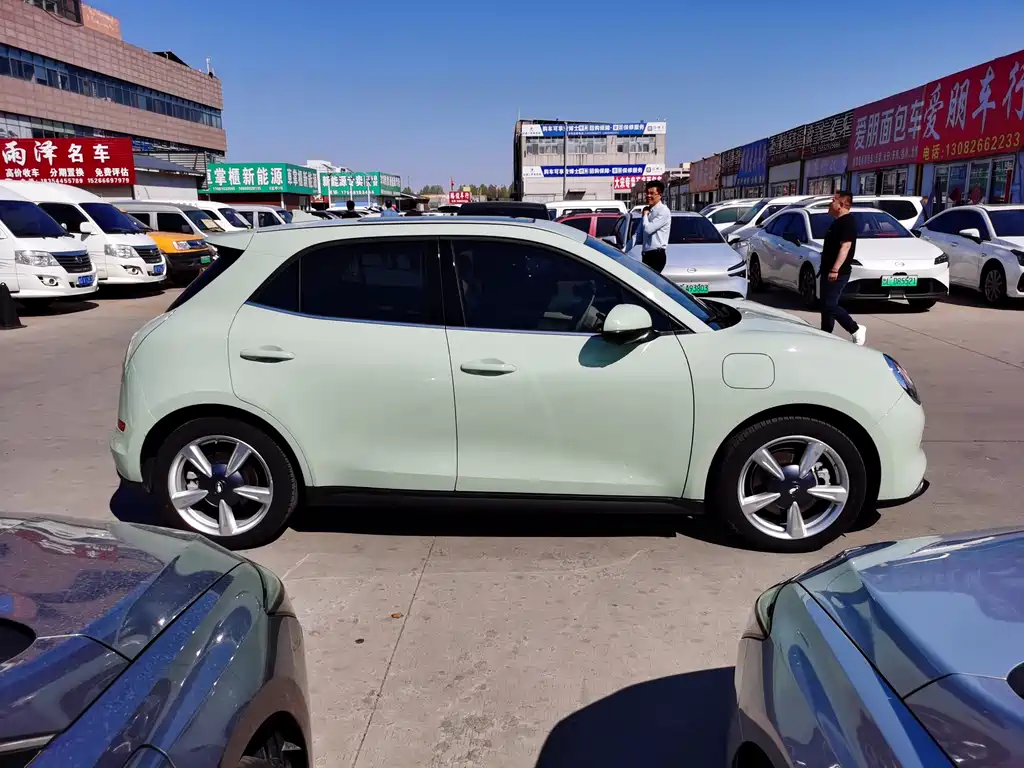 Euler Good Cat 2023 Model 401km Standard Range Honor Type Lithium Iron Phosphate купить на сайте DeffCars