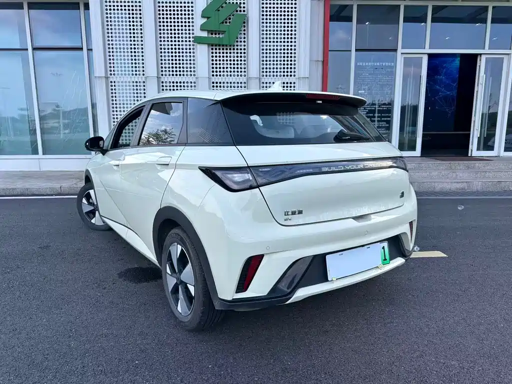 Dolphin 2023 420km Fashion Edition купить на сайте DeffCars