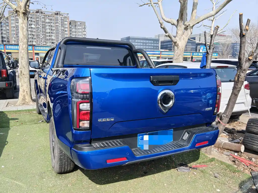 Cannon 2023 2.0T commercial version automatic gasoline four-wheel drive elite standard box GW4C20B купить на сайте DeffCars