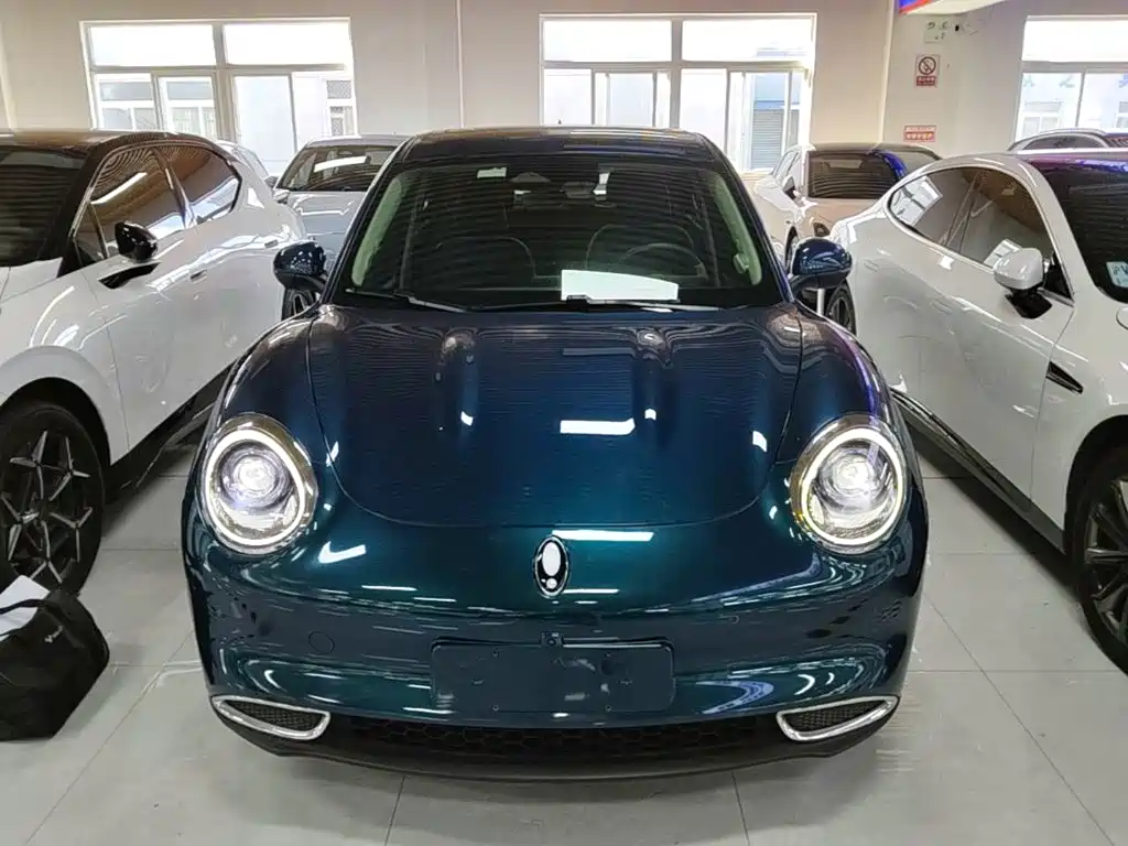 Euler Good Cat 2021 Model 400km Standard Range Athena Edition Lithium Iron Phosphate купить на сайте DeffCars
