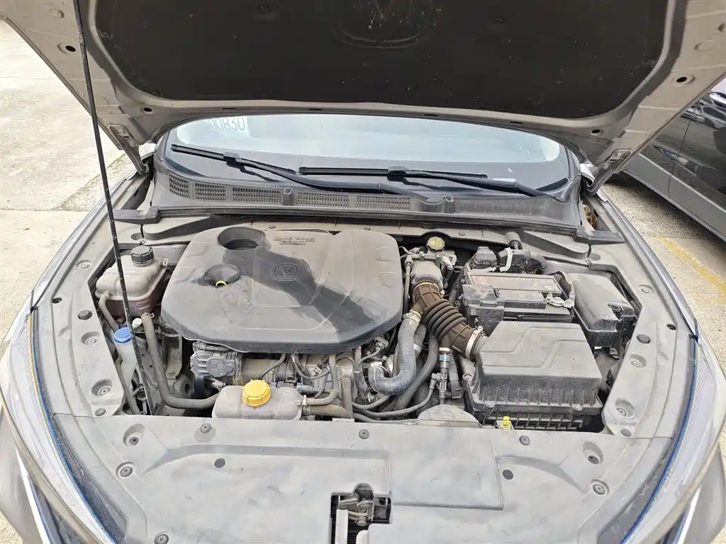 EADO 2020 PLUS Blue Whale NE 1.4T GDI DCT Premium Type купить на сайте DeffCars