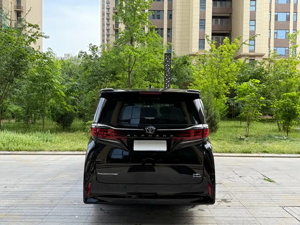 Alfa 2024 Dual Engine 2.5L Premium Edition купить на сайте DeffCars