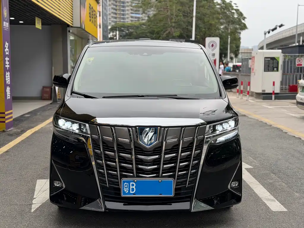 Wilfa 2019 Shuangqing 2.5L HV Premium Edition купить на сайте DeffCars