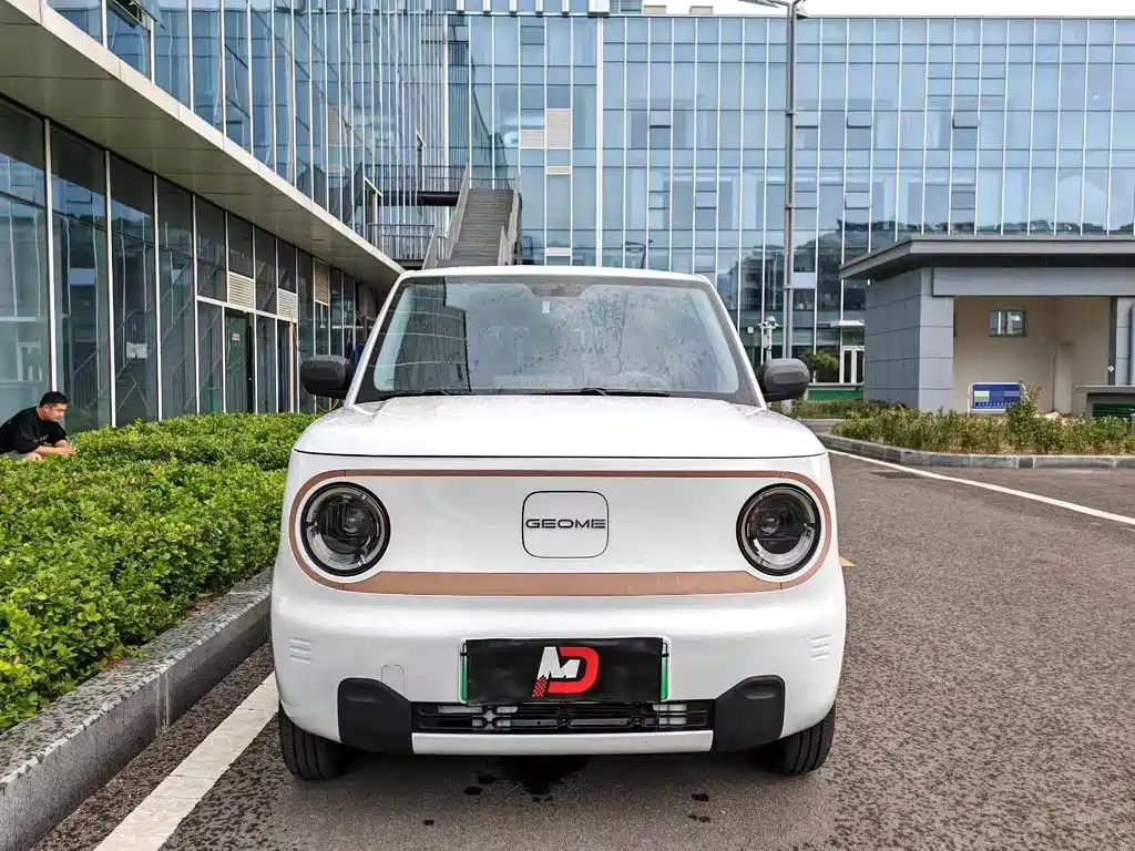 Panda 2024 Panda mini 200km endurance bear купить на сайте DeffCars
