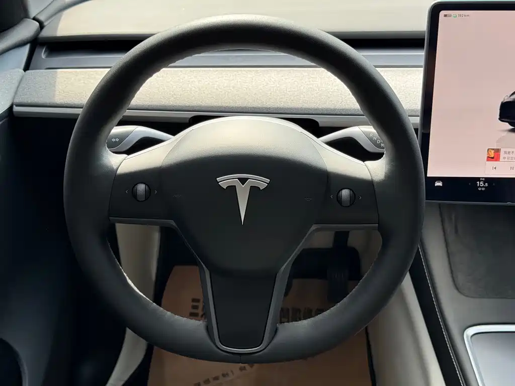 Model Y 2024 rear-wheel drive купить на сайте DeffCars