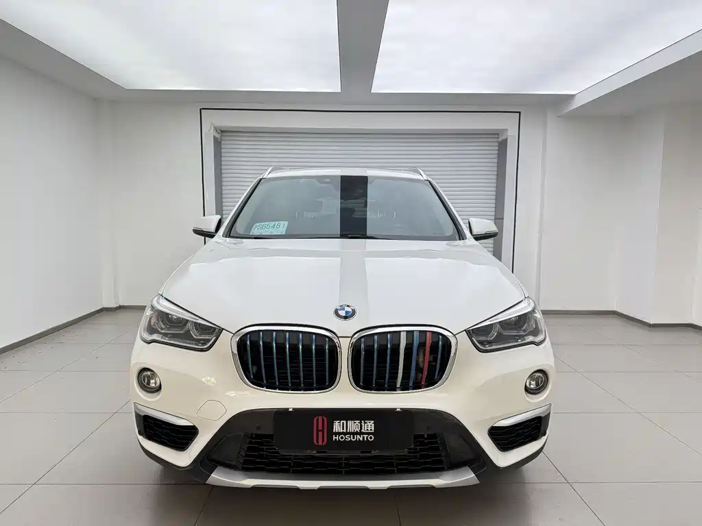 BMW X1 New Energy 2018 xDrive25Le Luxury Model купить на сайте DeffCars