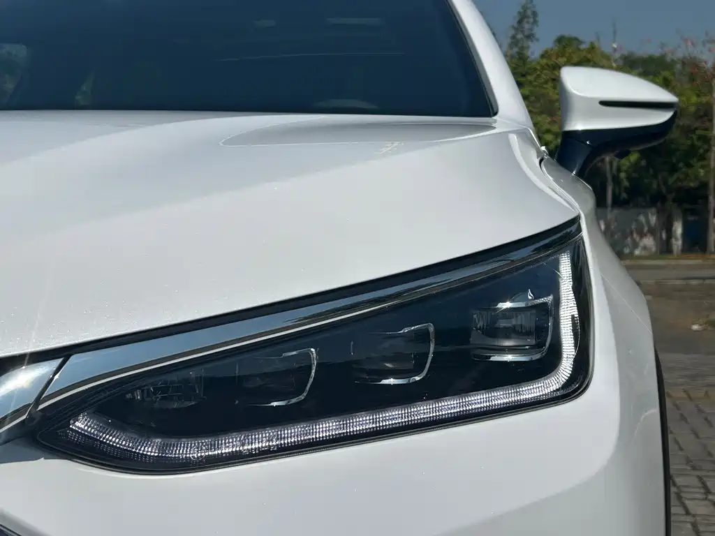 Tang 2021 2.0T automatic flagship model купить на сайте DeffCars