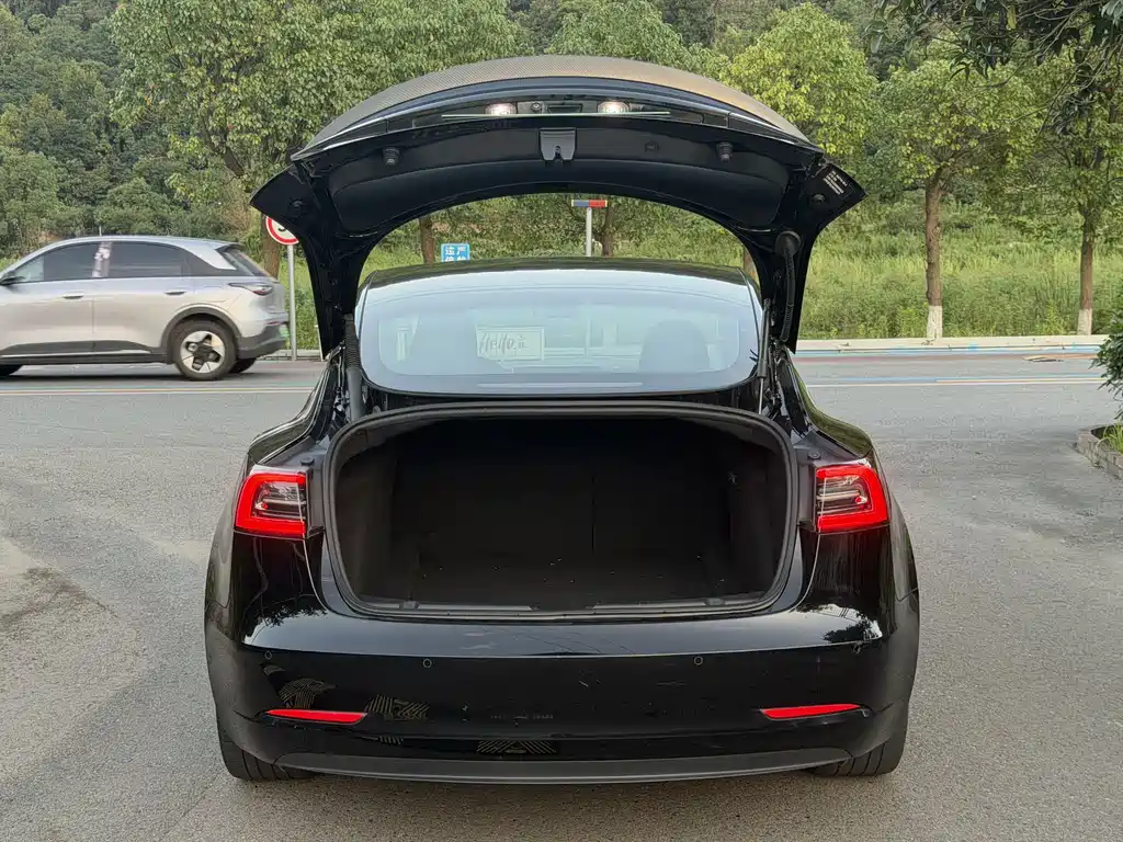 Model 3 2022 Performance high-performance all-wheel drive version купить на сайте DeffCars