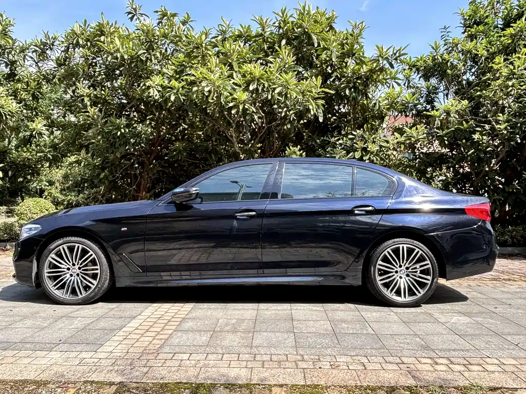 BMW 5 Series 2018 530Li Leading M Sports Package купить на сайте DeffCars