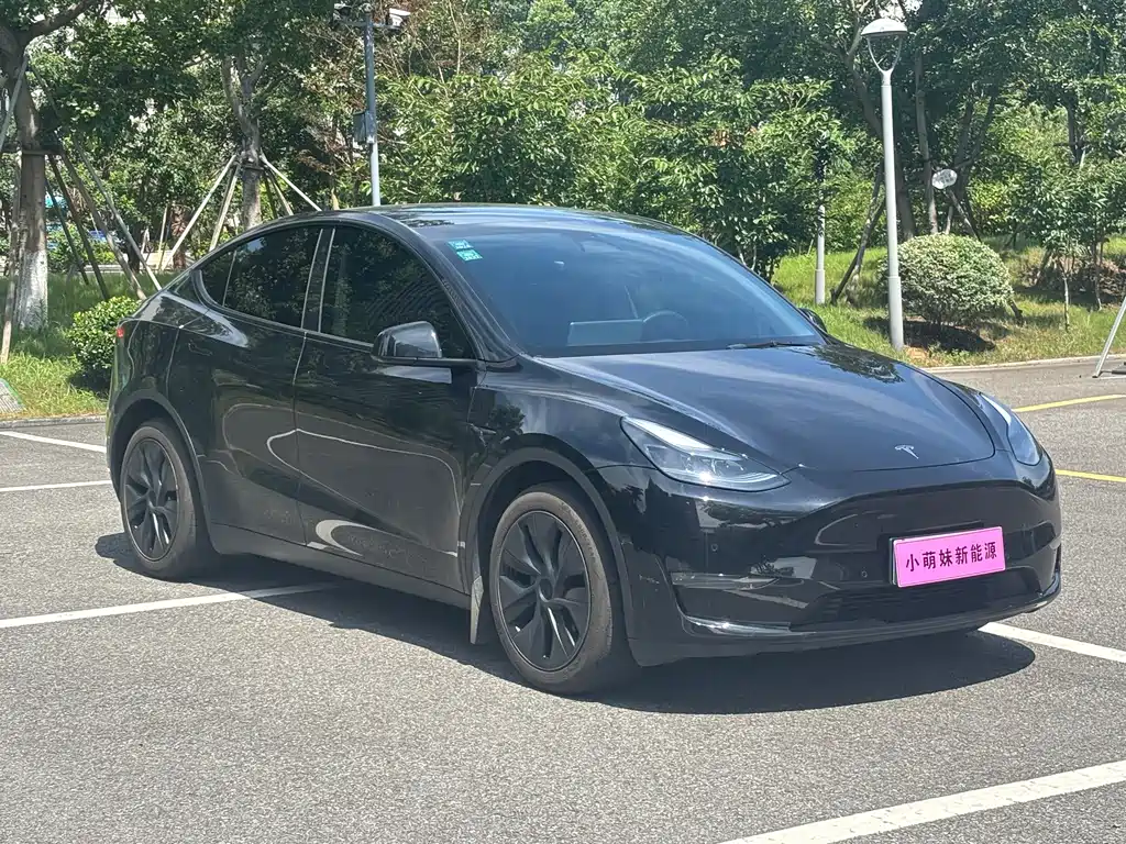 Model Y 2023 long-range all-wheel drive version купить на сайте DeffCars