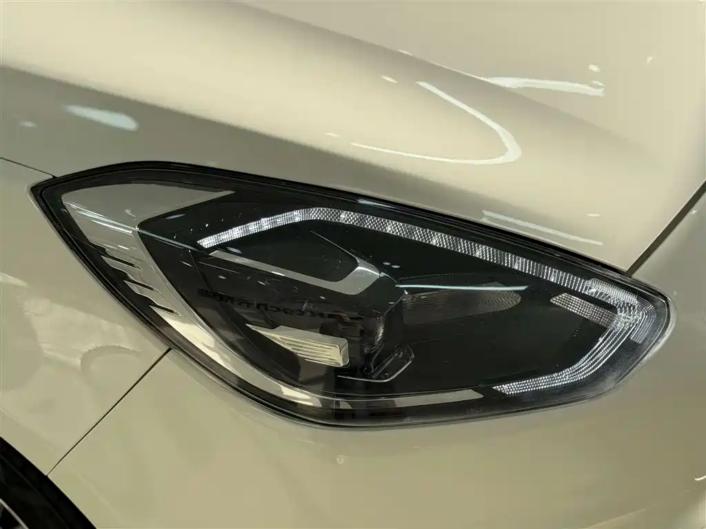 Forex 2019 facelift 1.5L automatic enjoyment type National VI купить на сайте DeffCars