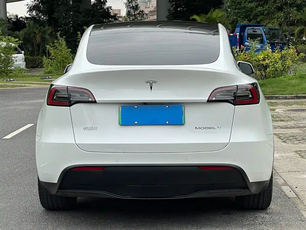 Model Y 2022 rear-wheel drive version купить на сайте DeffCars