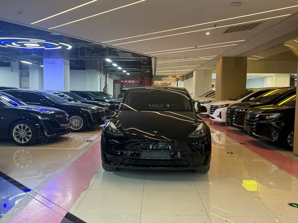 Model Y 2024 rear-wheel drive version купить на сайте DeffCars