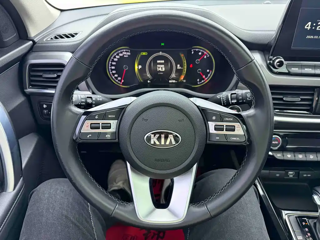 Zhipao 2019 2.0L Automatic Smart Enjoy Deluxe Edition купить на сайте DeffCars
