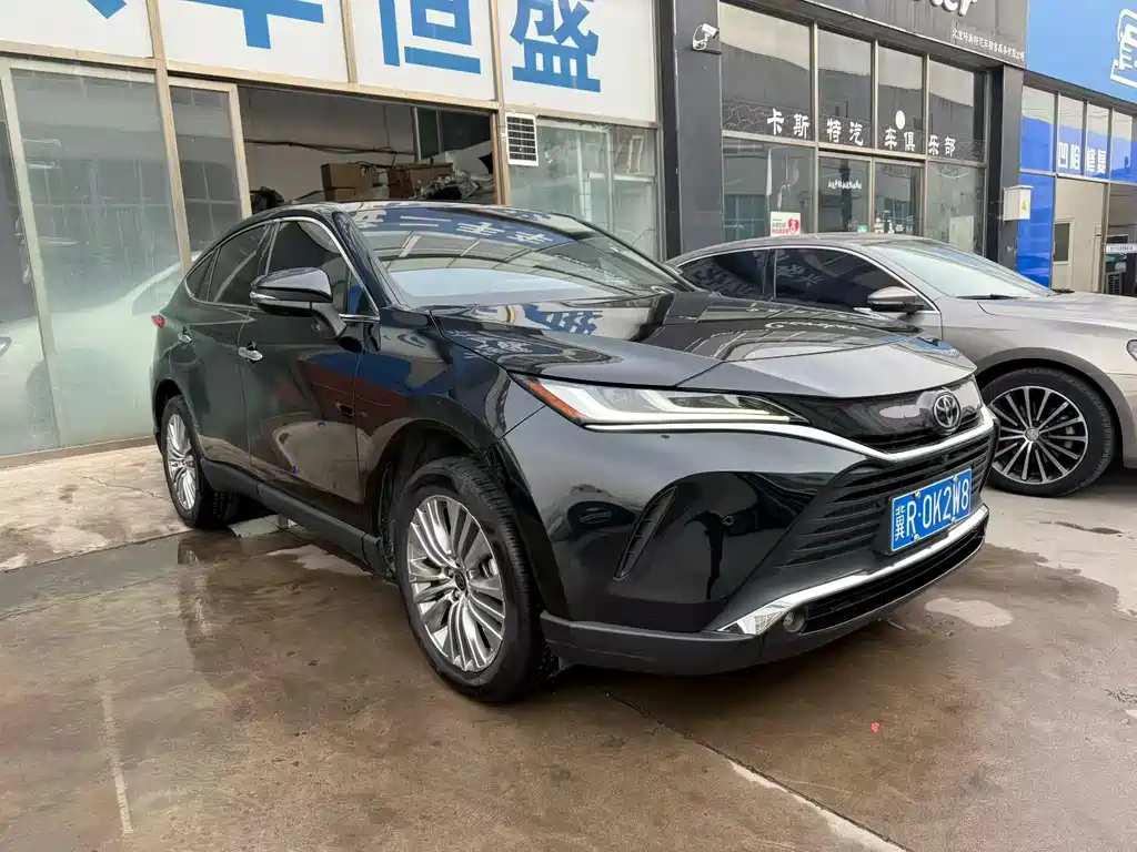 Lingfang HARRIER 2022 2.0L CVT two-wheel drive exclusive version купить на сайте DeffCars