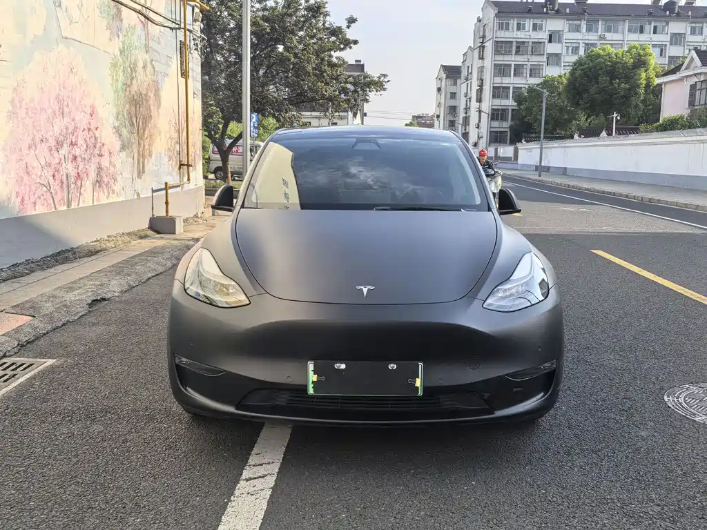 Model Y 2021 standard range rear-wheel drive version купить на сайте DeffCars