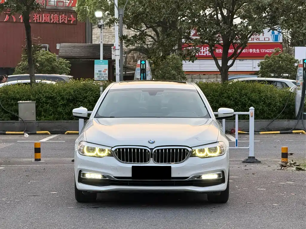 BMW 5 Series 2019 530Li Leading Luxury Package купить на сайте DeffCars
