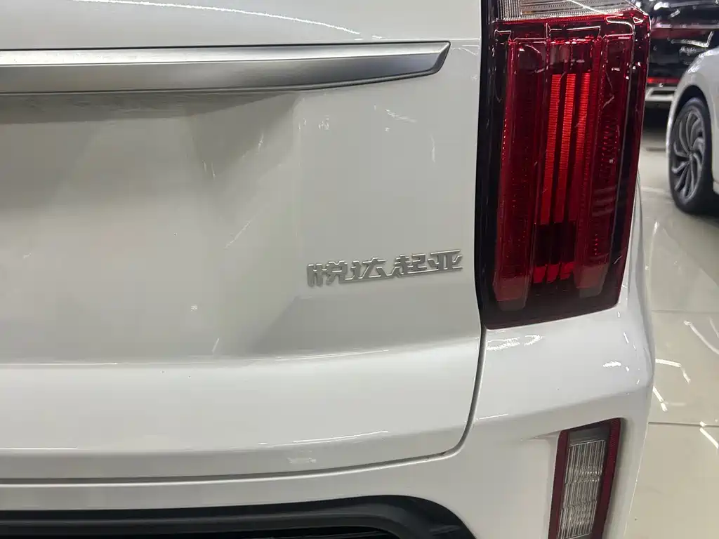 Zhipao 2021 Ace 2.0L Wonderful Edition купить на сайте DeffCars