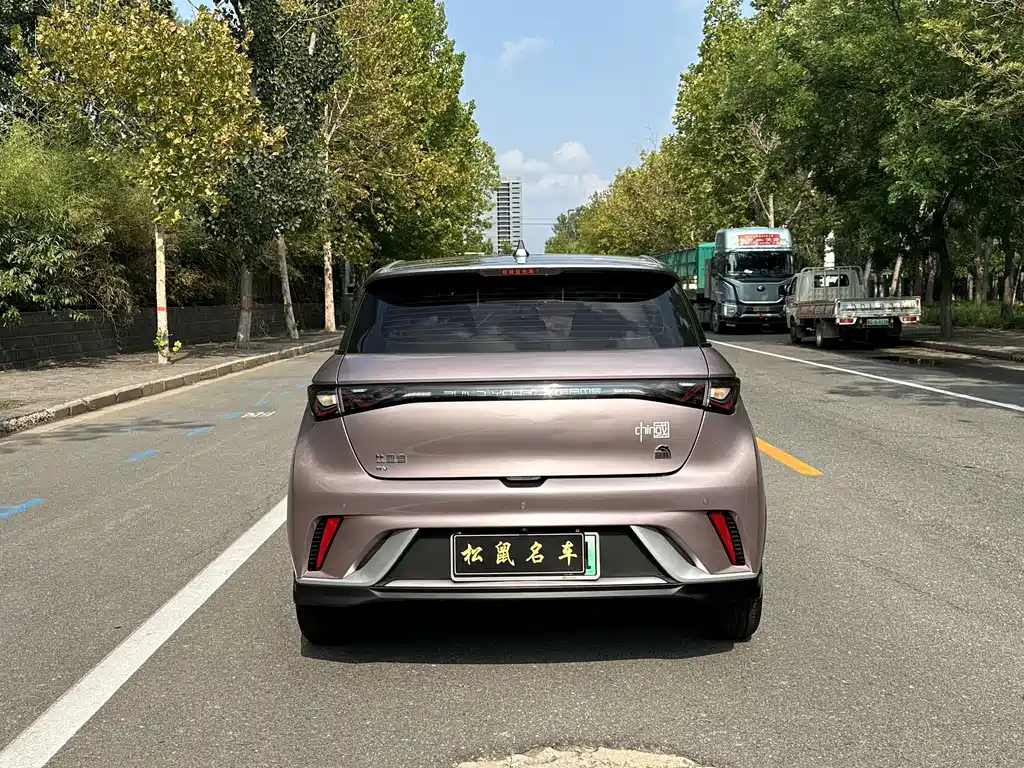 Dolphin 2021 401km Knight Edition купить на сайте DeffCars