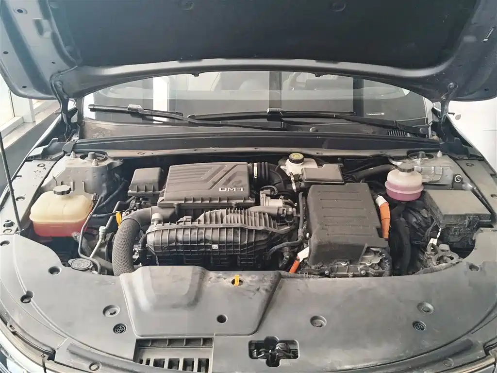 Destroyer 05 2023 Champion Edition DM-i 55KM Luxury Type купить на сайте DeffCars