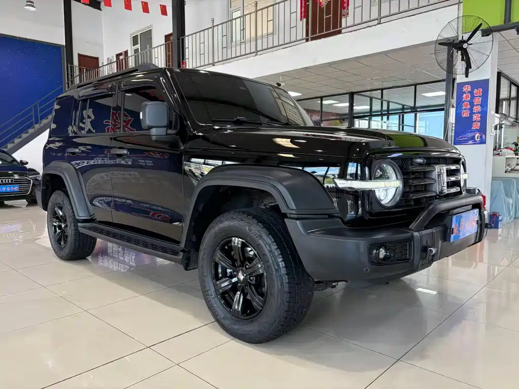 Tank 300 2021 Off-Road Version 2.0T Conqueror купить на сайте DeffCars