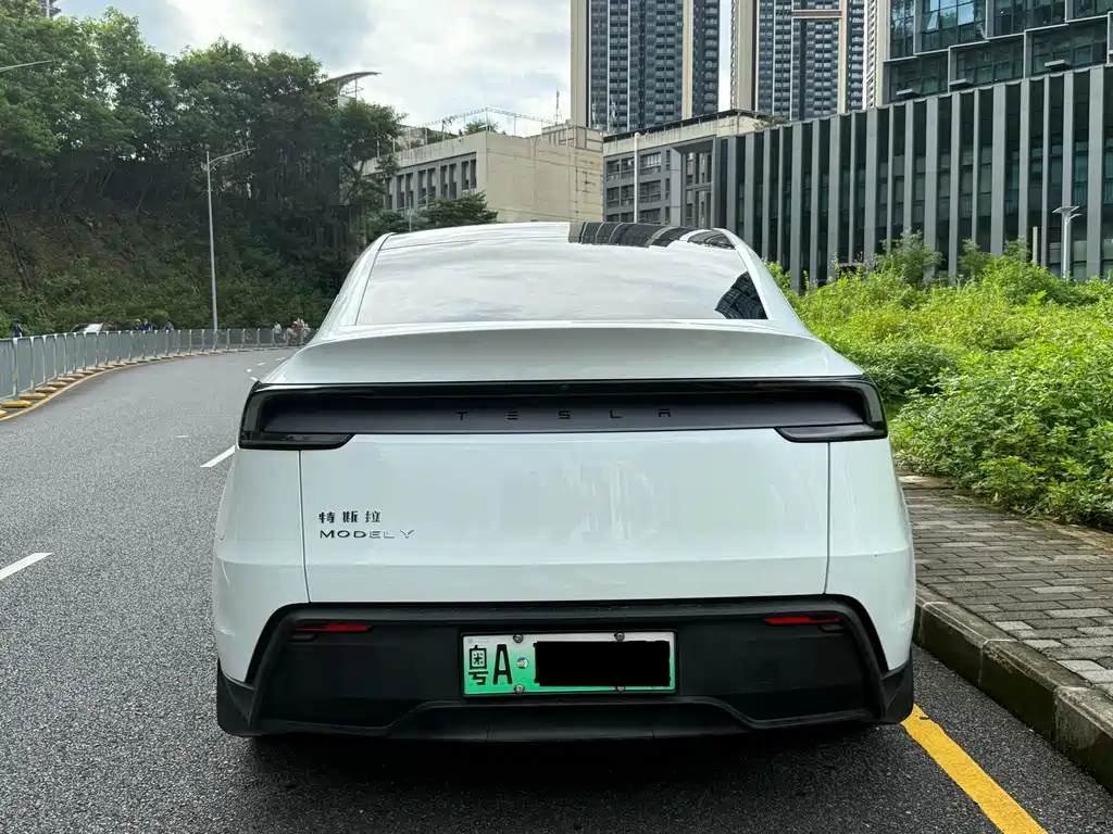 Model Y 2025 rear-wheel drive version купить на сайте DeffCars