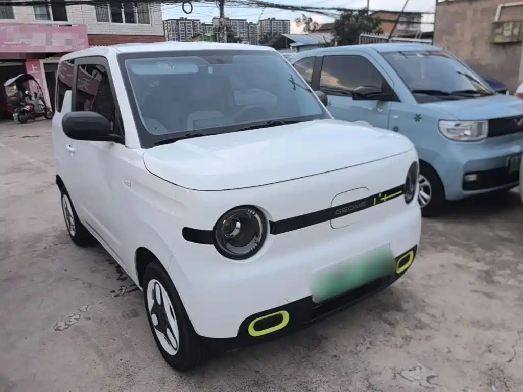 Panda 2025 Panda mini 210km Yuanqi Bear купить на сайте DeffCars