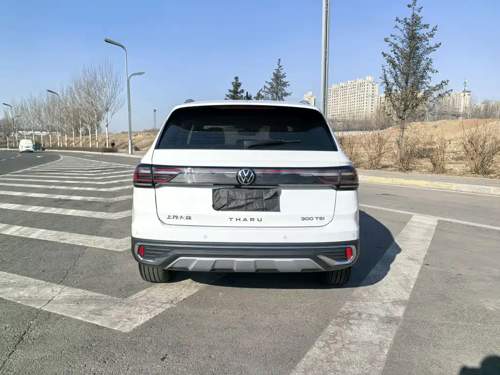 Tuyue 2023 300TSI two-wheel drive full moon version купить на сайте DeffCars