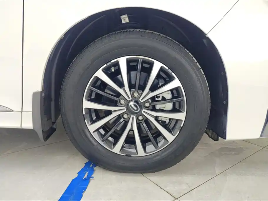 Trumpchi M8 2021 Lead Show Series 390T Exclusive Edition купить на сайте DeffCars